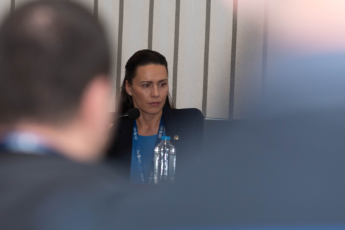 10-та Национална конференция на СФСМВР